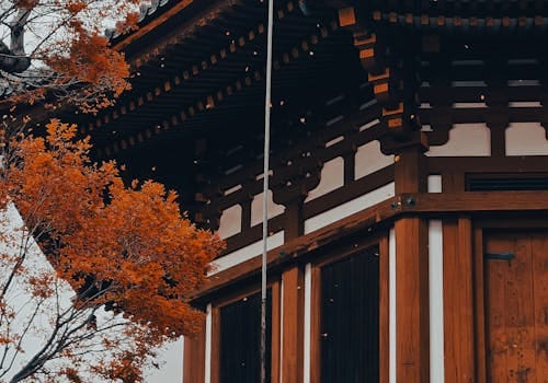 Kyoto höjdpunkter heldagstur